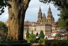 VIII Congreso La SEMYR: Santiago de Compostela (7-9 de septiembre de 2022)